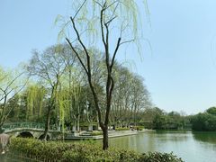 -红梅公园