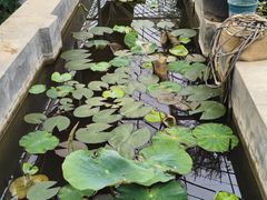 -大连北马山庄