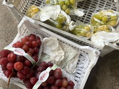 -马陆小张葡萄园农家乐