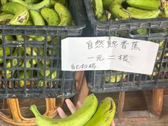 -西双版纳傣族园