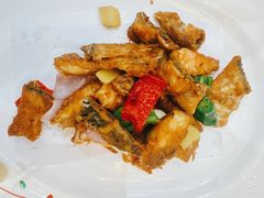 -有腥气私房菜·寻味顺德