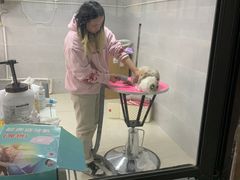 -翊宠yipet猫狗购宠庄园犬舍•猫舍