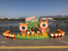 -上海长兴岛郊野公园