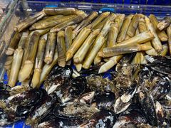 -高佳庄·舟山海鲜(海景旗舰店)