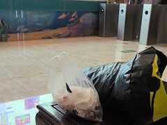 -龙脉温泉室内游泳馆