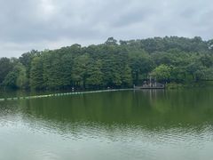 -鹿鸣酒家(越秀店)