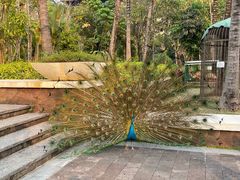 -西双版纳融创皇冠假日度假酒店