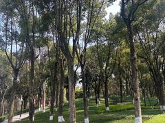 -重庆市江北嘴中央商务区中央公园