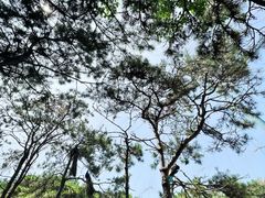 -燕塞湖鸟语林景区