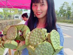 -陶辛水韵