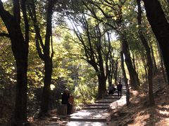 -穹窿山景区