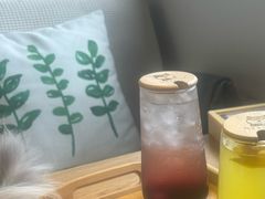 葡萄气泡水-废柴休闲屋·撸狗咖撸猫咖