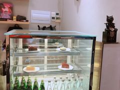 -飞行喵MR PILOT|猫舍·猫咖(静安大融城店)