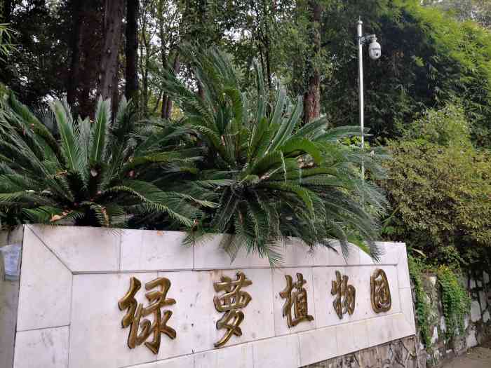 绿萝植物园-"四月中旬来宜昌出差,感觉自然环境确实很好.