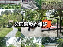-晓港公园