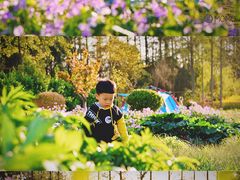 -前小桔亲子创意农场·草莓采摘·露营烧烤