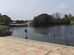 -新江湾城公园