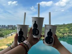 -太湖龙之梦