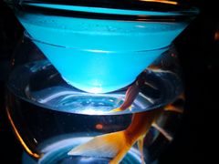-Joy酒隐(西湖店)