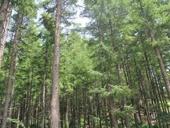 -驼梁风景区