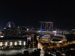 -新加坡瑞士史丹福酒店