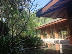 -西双版纳洲际度假酒店兰吧