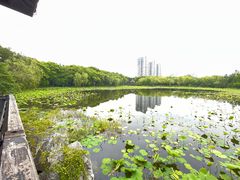 -高子水居