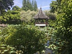 -上海醉白池公园