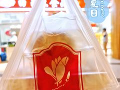 -白玉兰食品(甜云店)
