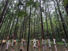 -小格里自然风景区
