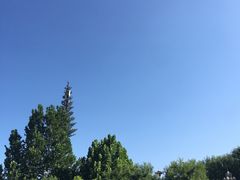 -清华大学玉泉医院