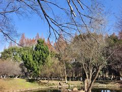 -采石矶景区