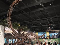 -国家自然博物馆