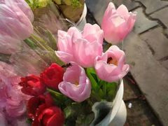 -三圣花乡旅游区