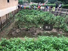 -韶山毛泽东同志故居