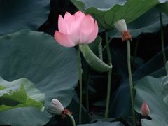 -玄武湖景区-情侣园游乐场