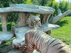 -北京野生动物园