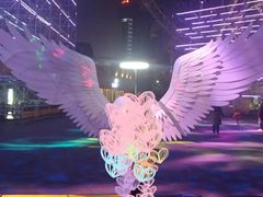 -锦江乐园舞狸花花游园会(夜场专享)