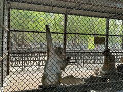 -长白岛森林公园