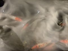 -长禧家.珑厨(东风东路店)