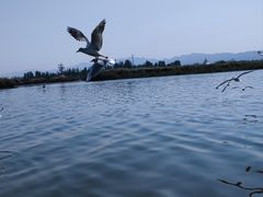 -乌梁素海景区
