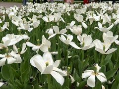 -玄武湖景区-情侣园游乐场