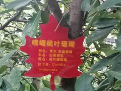 -成都市活水公园