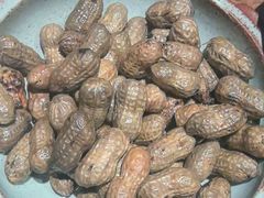 -肉串汪自由派(西便门店)
