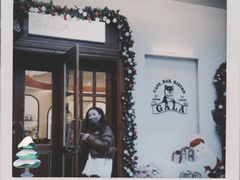 -ZAZA.CAFE.BAR