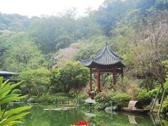 -云溪植物园
