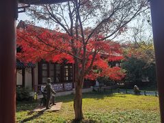 -堤角公园