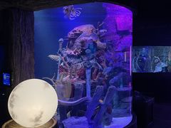 -沈阳海洋探索中心