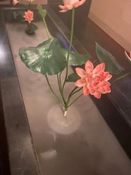 点击看大图 -诗泥SPA