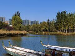 -大兴滨河森林公园